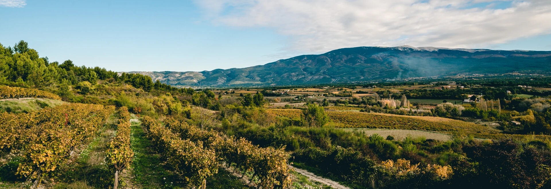 Mont Ventoux   © LezBroz