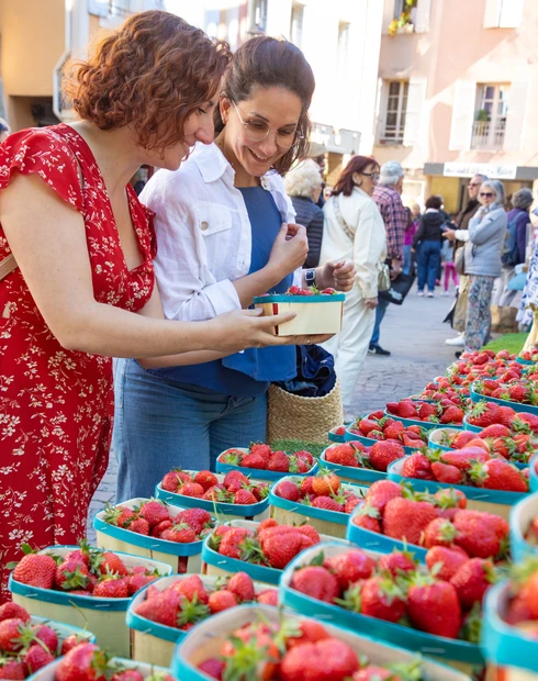 Isle-sur-Sorgue market  © Hocquel